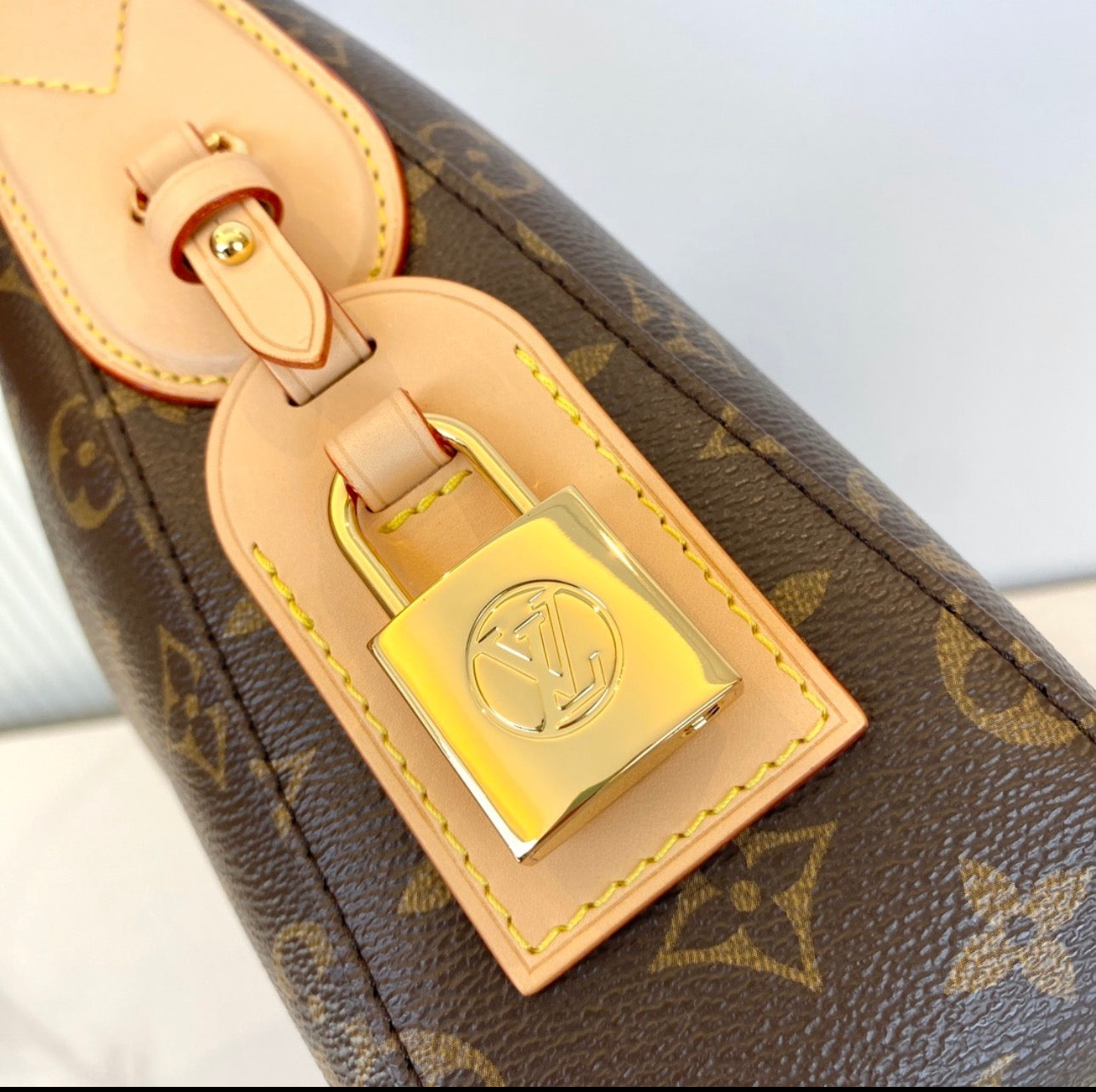LV Bag